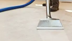 Carpet cleaning wand head gliding over a light carpet during hot-water extraction, Clearwater, FL.