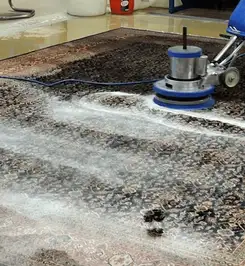 Professional rug cleaning with a rotary floor machine and shampoo foam, deep-cleaning an area rug Clearwater, FL.