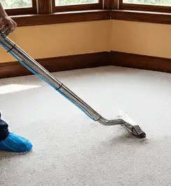 Steam carpet cleaning technician using a hot-water extraction wand on a residential carpet, wearing blue protective shoe covers Clearwater, FL.